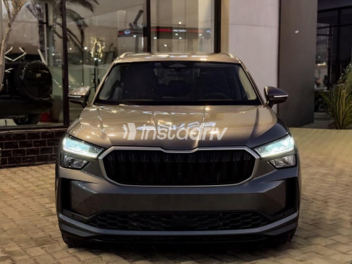Skoda Kodiaq 2024 Gray Automatic Used for Sale in Cairo - 1