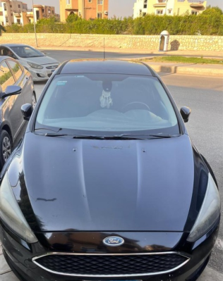 Ford Focus 2016 Black Automatic Used for Sale in Cairo