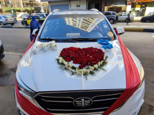 Faw X40 2018 White Automatic Used for Sale in Greater Cairo ( Cairo + Giza)