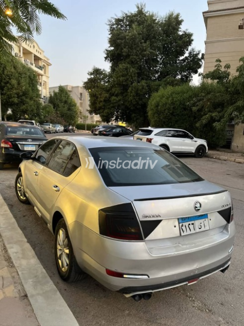 Skoda Octavia 2014 Silver Automatic Used for Sale in Giza - 4