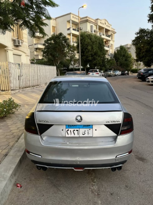 Skoda Octavia 2014 Silver Automatic Used for Sale in Giza - 5
