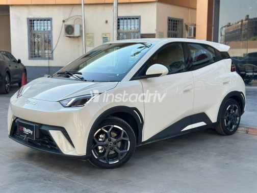 Byd Seagull 2025 White Automatic Used for Sale in Cairo - 2
