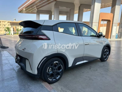Byd Seagull 2025 White Automatic Used for Sale in Cairo - 6