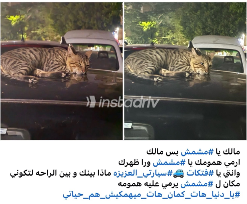 مازدا 2 2017 أبيض أوتوماتيك مستعملة للبيع في القاهرة - 6