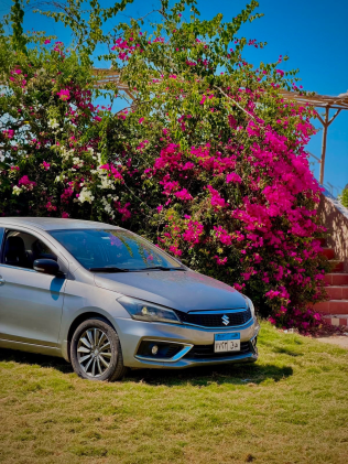 Suzuki Ciaz 2021 Gray Automatic Used for Sale in Greater Cairo ( Cairo + Giza)