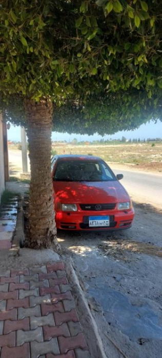 فولكس فاغن بولو 1999 أحمر أوتوماتيك مستعملة للبيع في المنصورة