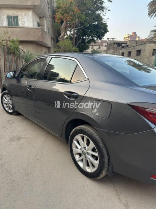 Toyota Corolla 2014 Gray Automatic Used for Sale in Beni Suef - 6