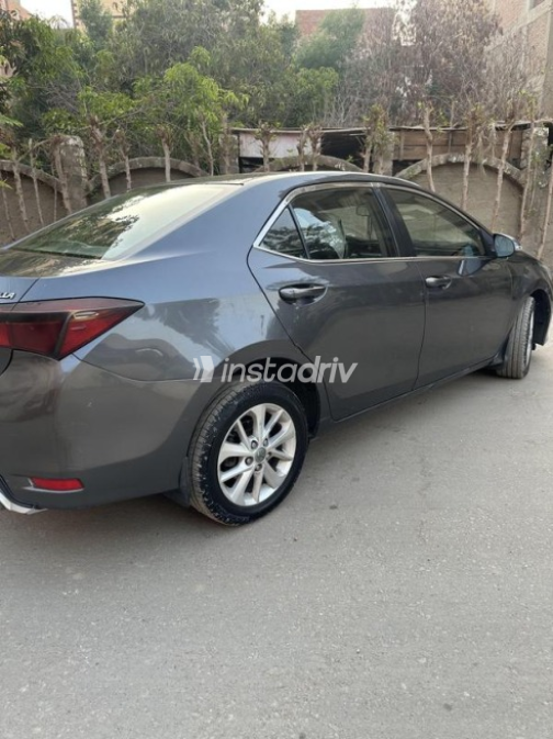 Toyota Corolla 2014 Gray Automatic Used for Sale in Beni Suef - 8