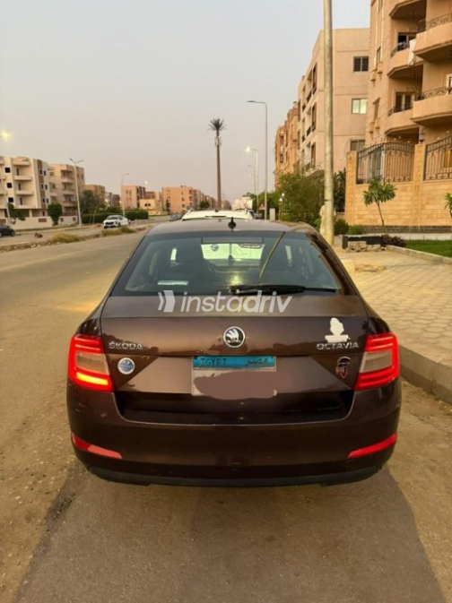 Skoda Octavia A7 2014 Brown Automatic Used for Sale in Cairo - 5