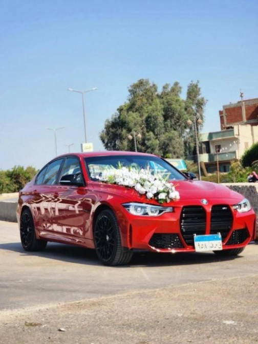 BMW 316 2015 White Automatic Used for Sale in Greater Cairo ( Cairo + Giza) - 4