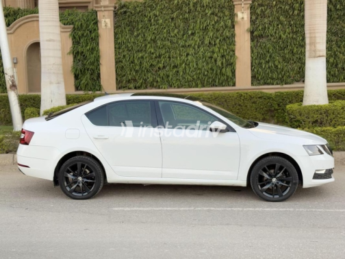 Skoda Octavia 2020 White Automatic Used for Sale in 6 October - 2