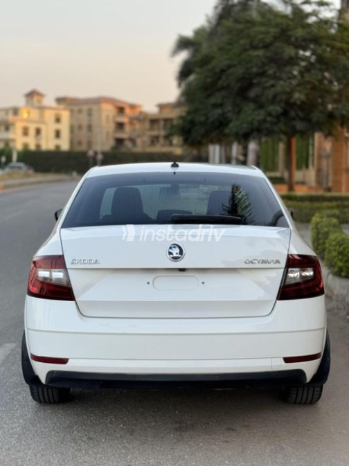 Skoda Octavia 2020 White Automatic Used for Sale in 6 October - 3