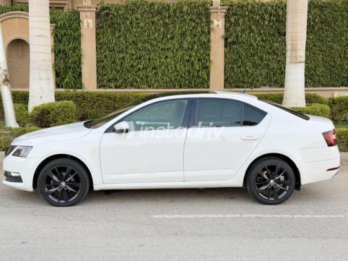 Skoda Octavia 2020 White Automatic Used for Sale in 6 October - 5