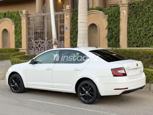 Skoda Octavia 2020 White Automatic Used for Sale in 6 October - 6