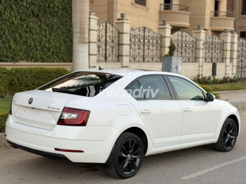 Skoda Octavia 2020 White Automatic Used for Sale in 6 October - 7
