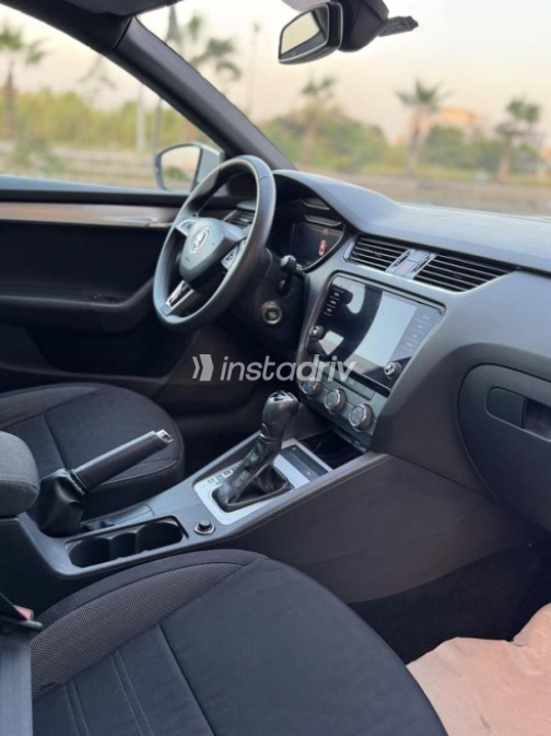 Skoda Octavia 2020 White Automatic Used for Sale in 6 October - 9
