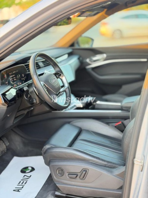 اودي Q8 2024 رمادي أوتوماتيك مستعملة للبيع في مدينة الشيخ زايد - 8