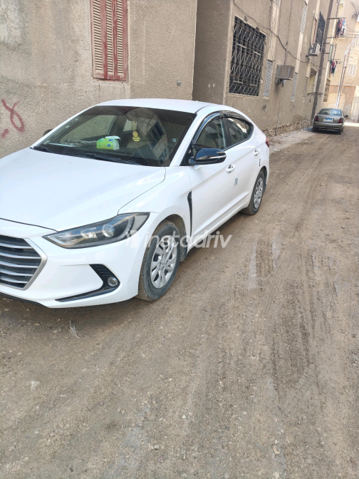 Hyundai Elantra AD 2016 White Automatic Used for Sale in Greater Cairo ( Cairo + Giza) - 1