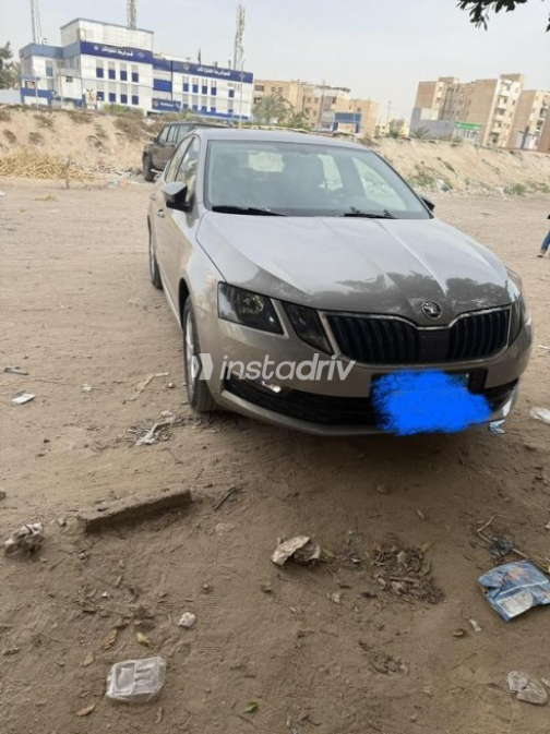 Skoda Octavia A7 2019 Beige Automatic Used for Sale in Alexandria - 1
