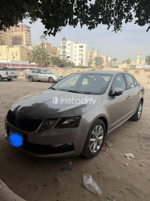 Skoda Octavia A7 2019 Beige Automatic Used for Sale in Alexandria - 2