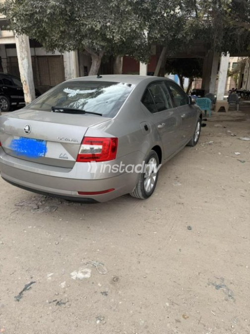 Skoda Octavia A7 2019 Beige Automatic Used for Sale in Alexandria - 3