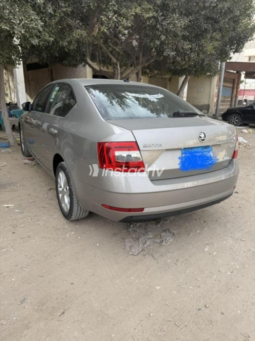 Skoda Octavia A7 2019 Beige Automatic Used for Sale in Alexandria - 4