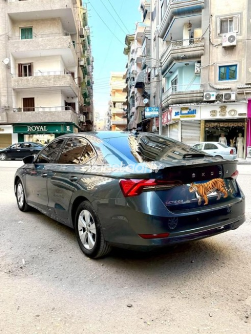 Skoda Octavia A8 2021 White Automatic Used for Sale in Greater Cairo ( Cairo + Giza) - 2