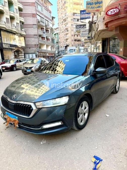 Skoda Octavia A8 2021 White Automatic Used for Sale in Greater Cairo ( Cairo + Giza) - 3