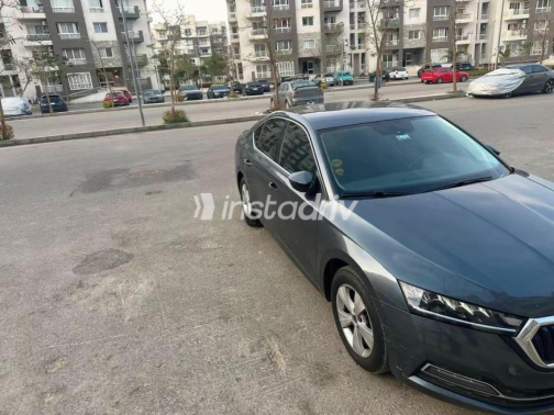 Skoda Octavia A8 2021 White Automatic Used for Sale in Greater Cairo ( Cairo + Giza) - 8