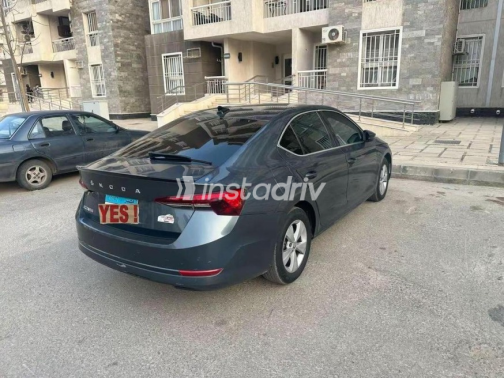 Skoda Octavia A8 2021 White Automatic Used for Sale in Greater Cairo ( Cairo + Giza) - 9