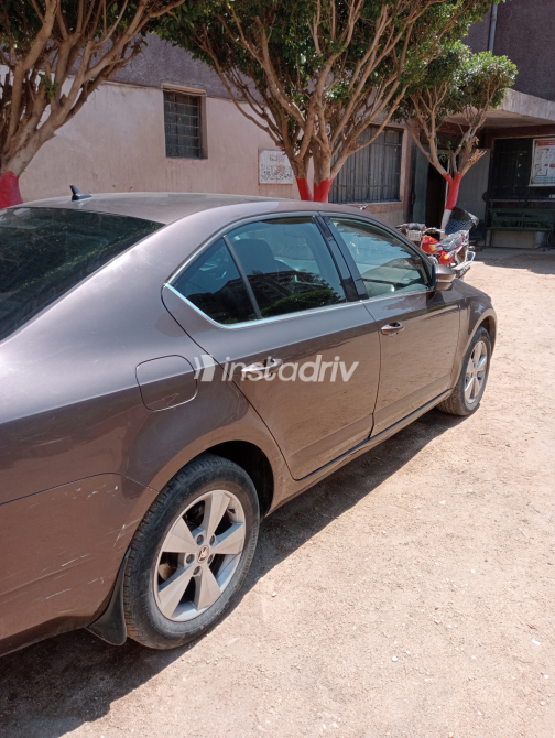 Skoda Octavia A7 2016 Bronze Automatic Used for Sale in Greater Cairo ( Cairo + Giza) - 6
