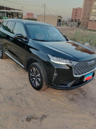 Haval H6 2025 White Automatic Used for Sale in Greater Cairo ( Cairo + Giza)