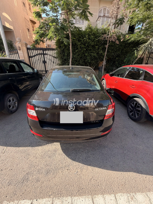 Skoda Octavia A7 2016 Black Automatic Used for Sale in Greater Cairo ( Cairo + Giza) - 5