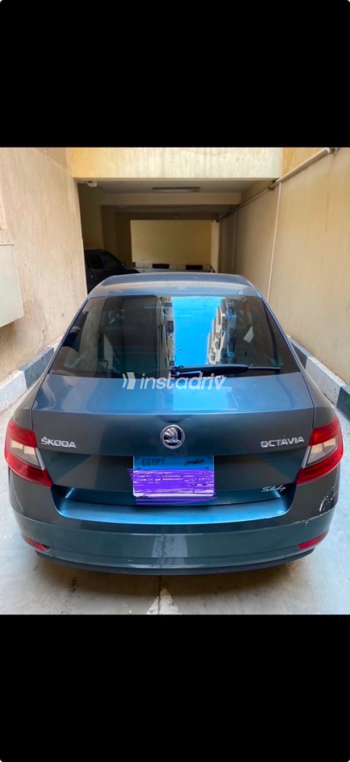 Skoda Octavia 2019 Gray Automatic Used for Sale in Greater Cairo ( Cairo + Giza) - 1