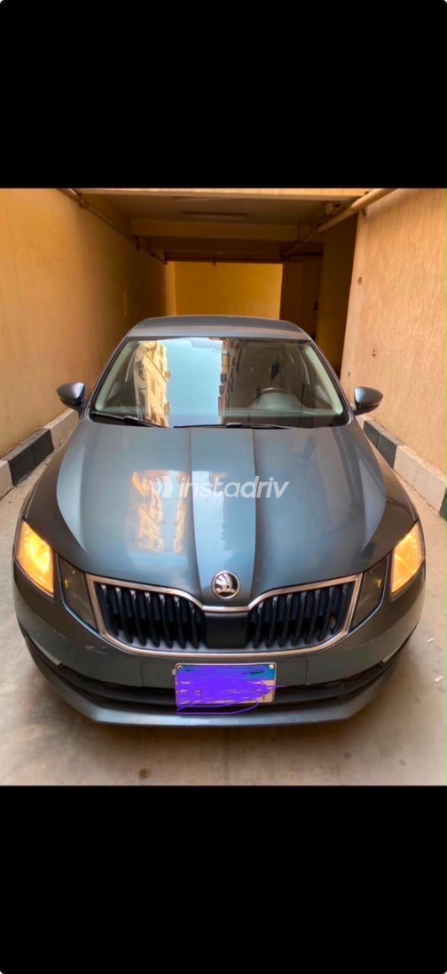 Skoda Octavia 2019 Gray Automatic Used for Sale in Greater Cairo ( Cairo + Giza) - 3