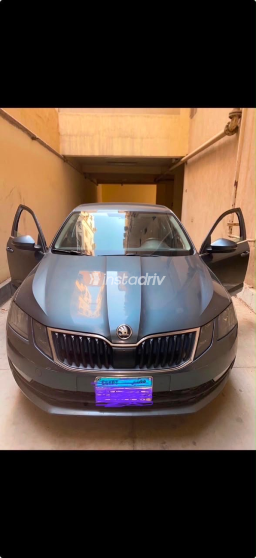Skoda Octavia 2019 Gray Automatic Used for Sale in Greater Cairo ( Cairo + Giza) - 4