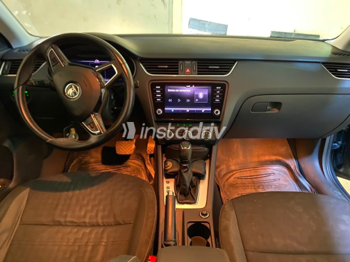 Skoda Octavia 2019 Gray Automatic Used for Sale in Greater Cairo ( Cairo + Giza) - 6