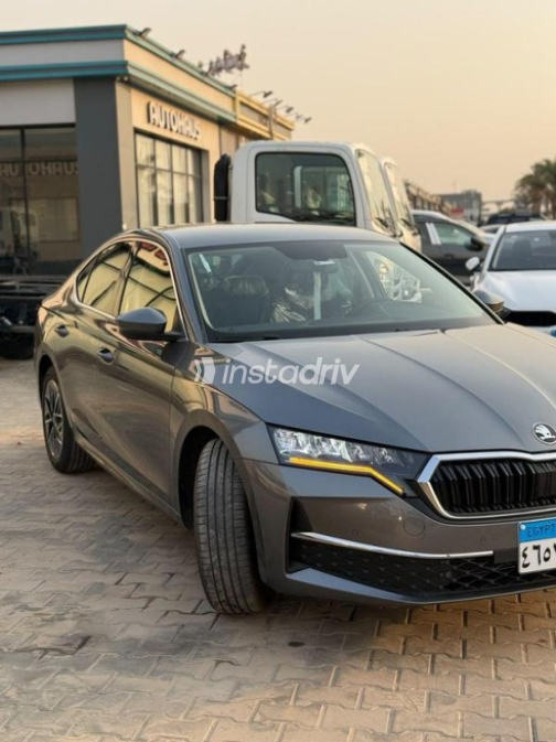 Skoda Octavia 2026 Gray Automatic Used for Sale in Cairo - 5