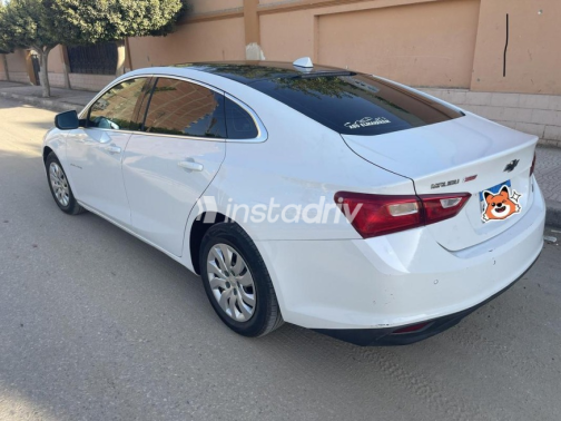 شيفروليه ماليبو 2019 أبيض أوتوماتيك مستعملة للبيع في القاهرة الكبرى ( القاهرة - الجيزة) - 5