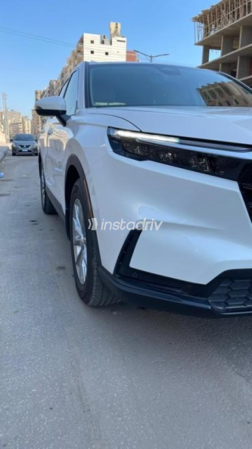 هوندا CRV 2025 أبيض أوتوماتيك مستعملة للبيع في المنصورة - 2