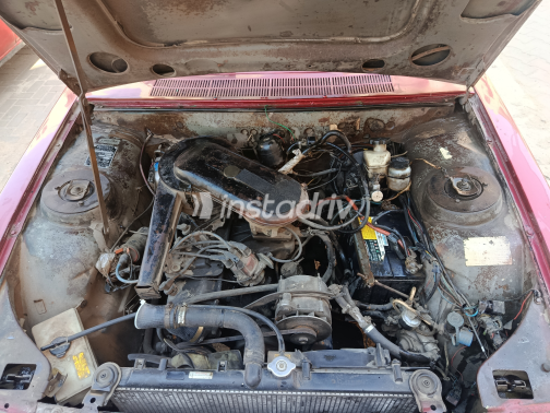 Peugeot 504 1978 White Manual Used for Sale in Greater Cairo ( Cairo + Giza) - 3