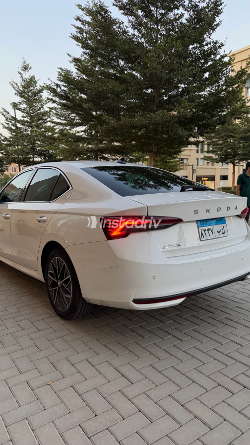 Skoda Octavia 2025 White Automatic Used for Sale in Greater Cairo ( Cairo + Giza) - 2