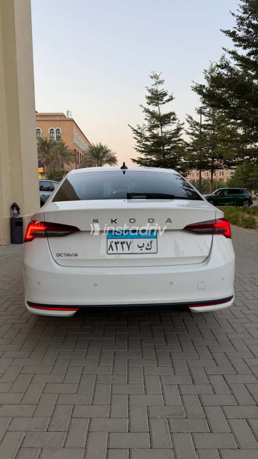 Skoda Octavia 2025 White Automatic Used for Sale in Greater Cairo ( Cairo + Giza) - 4