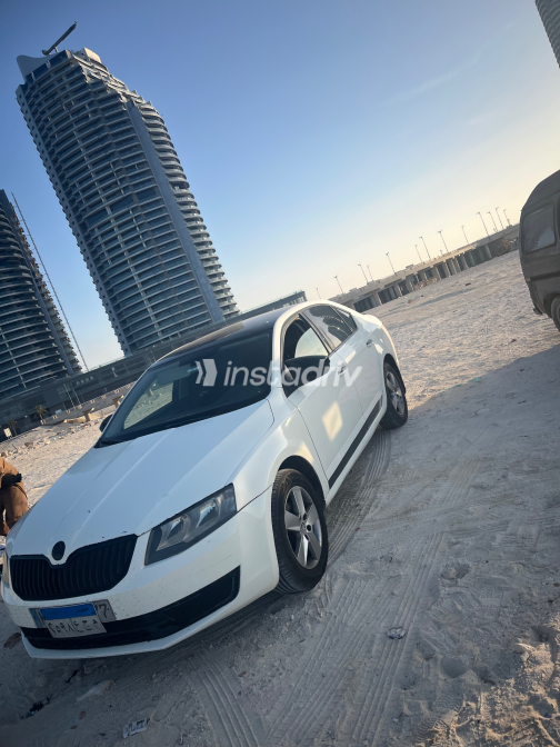 سكودا اوكتافيا A7 2014 أبيض أوتوماتيك مستعملة للبيع في القاهرة الكبرى ( القاهرة - الجيزة) - 4