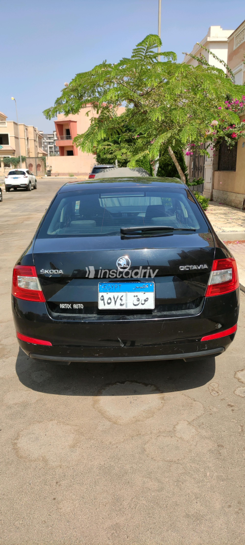 Skoda Octavia 2015 Black Automatic Used for Sale in Greater Cairo ( Cairo + Giza) - 5