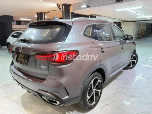 MG HS 2025 Silver Automatic Used for Sale in Cairo - 7