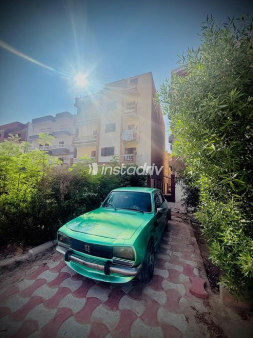 بيجو 504 1979 أخضر أوتوماتيك مستعملة للبيع في العاشر من رمضان - 4