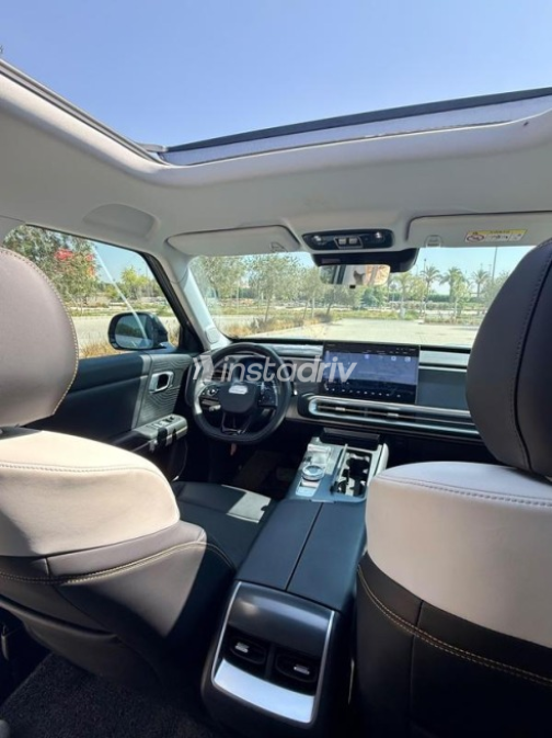 Baic BJ30 2025 Gray Automatic Used for Sale in 6 October - 7