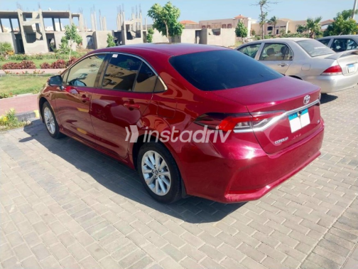 Toyota Corolla 2019 Dark Red Automatic Used for Sale in Mansoura - 5