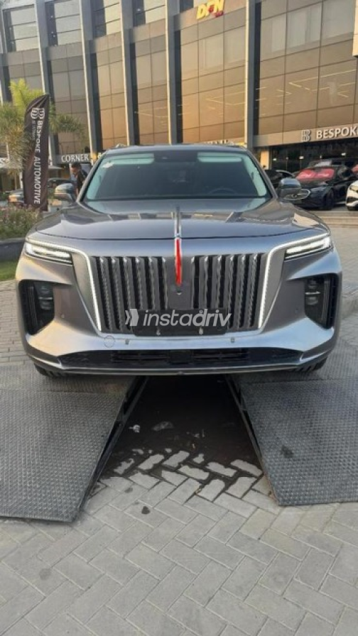 هونج تشى E-HS9 2023 رمادي أوتوماتيك مستعملة للبيع في مدينة الشيخ زايد - 1
